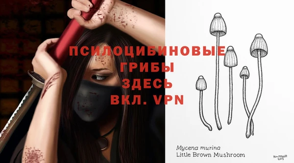 каннабис Арсеньев