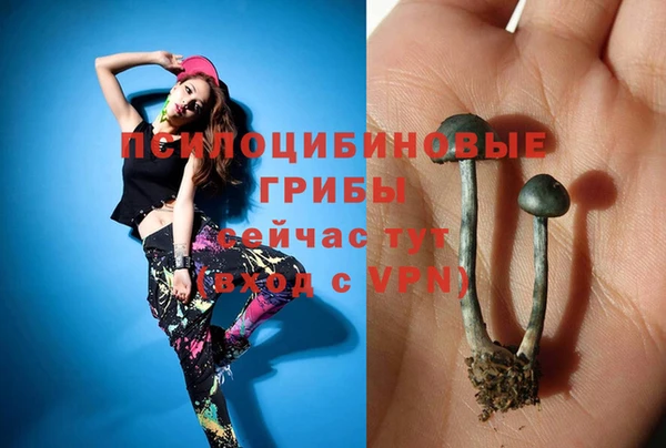 каннабис Арсеньев