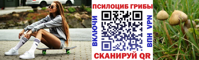 Псилоцибиновые грибы Cubensis  купить наркоту  ссылка на мегу онион  Красный Холм 